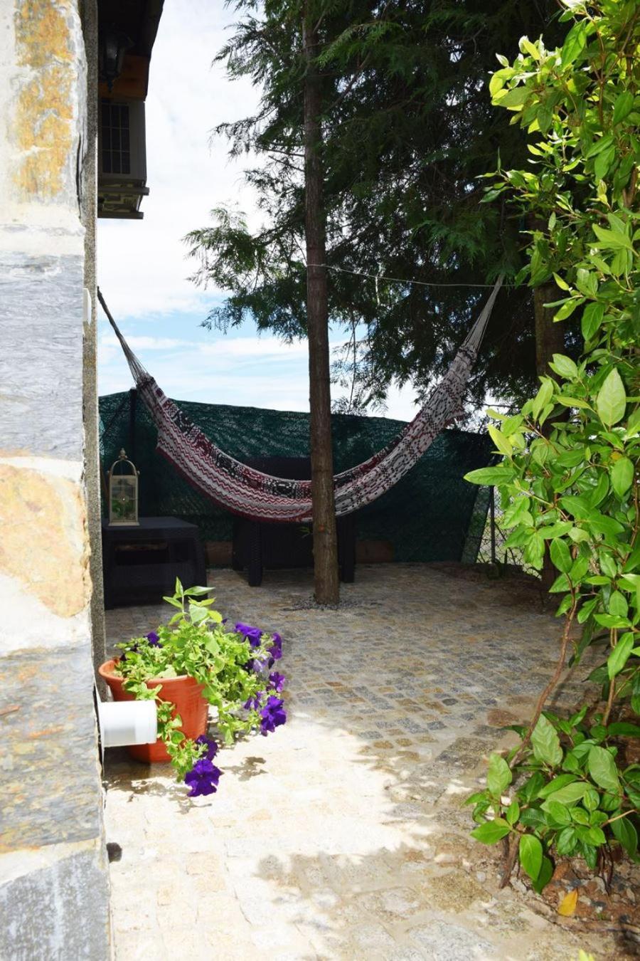 Hotel Quinta Da Boa Ventura Bragança Zimmer foto